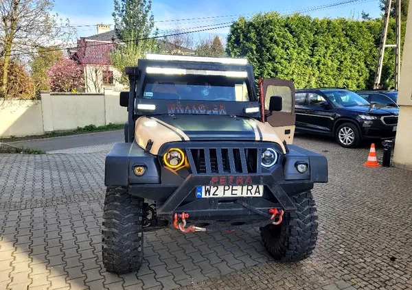 Jeep Wrangler cena 99000 przebieg: 80000, rok produkcji 2002 z Mikołów małe 92